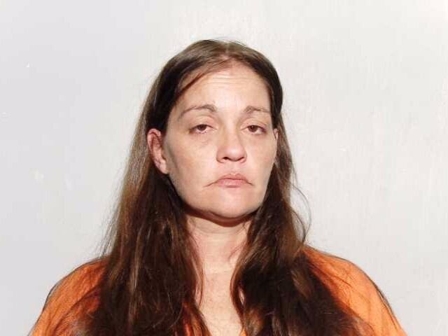 Ohio Woman Indicted on Manslaughter Charges in Girl’s Death on Lake Erie
