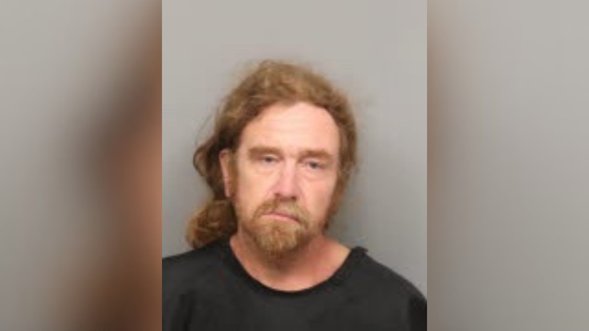 Man Arrested in Greenville for Animal Neglect at Homeless Encampment