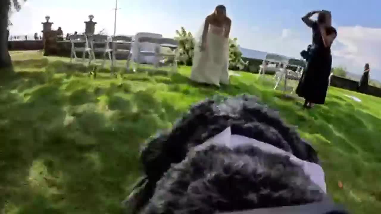 Sheepadoodle Becomes Unlikely Star of Viral Wedding Video