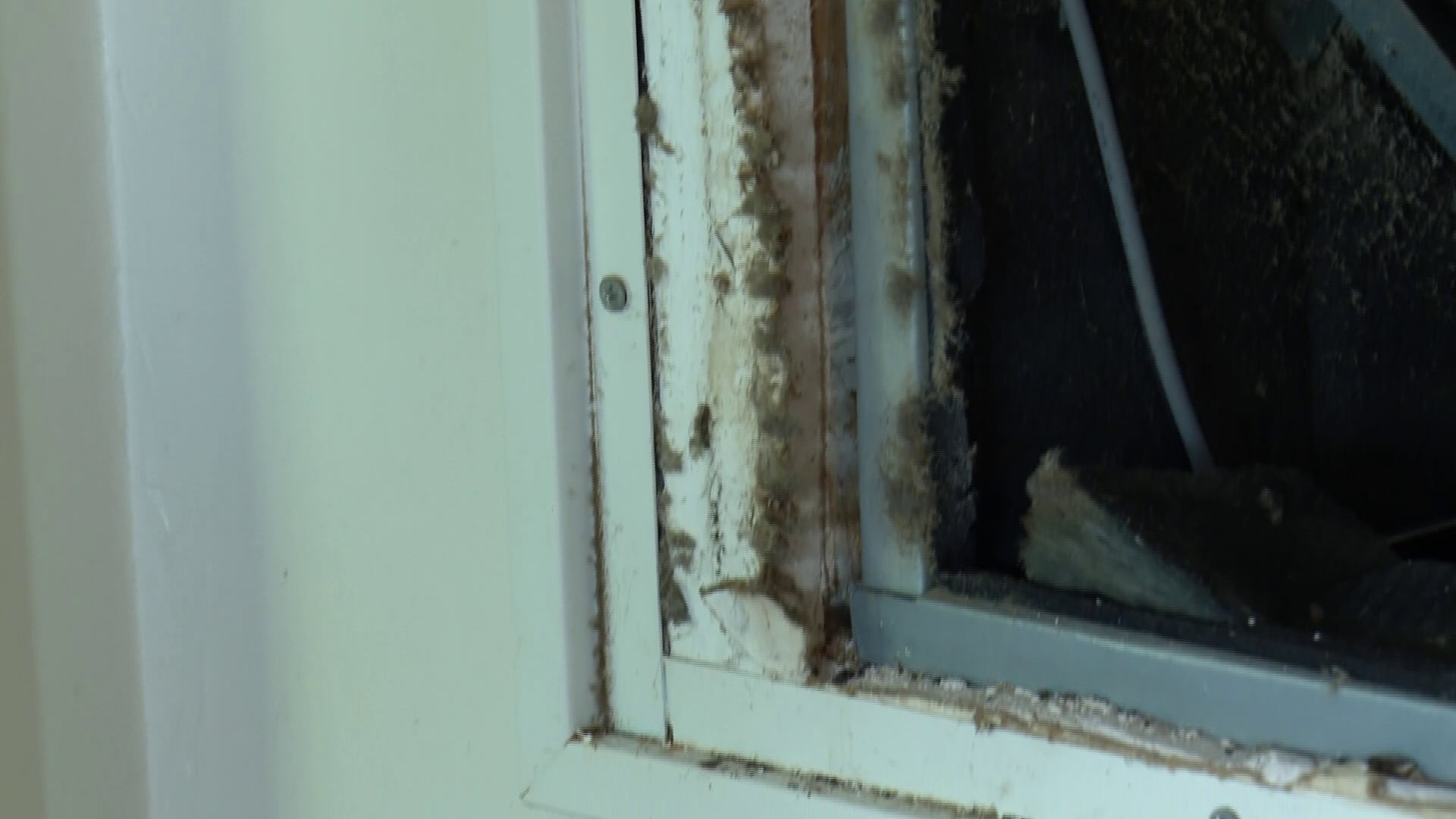 University of South Carolina Students Report Unlivable Off-Campus Housing Conditions