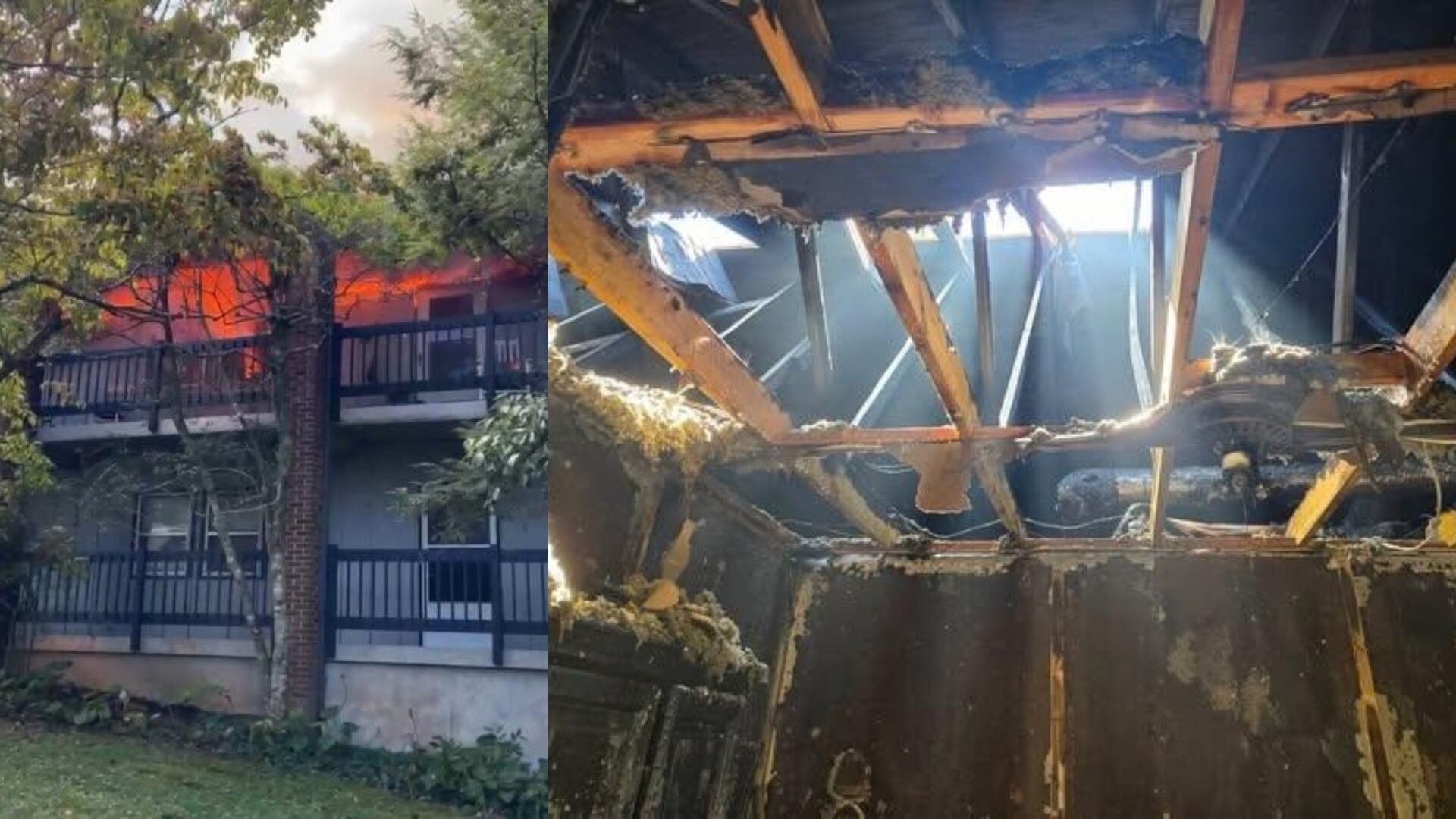Firefighters Rescue Victim from Burning Franklin Apartment Building