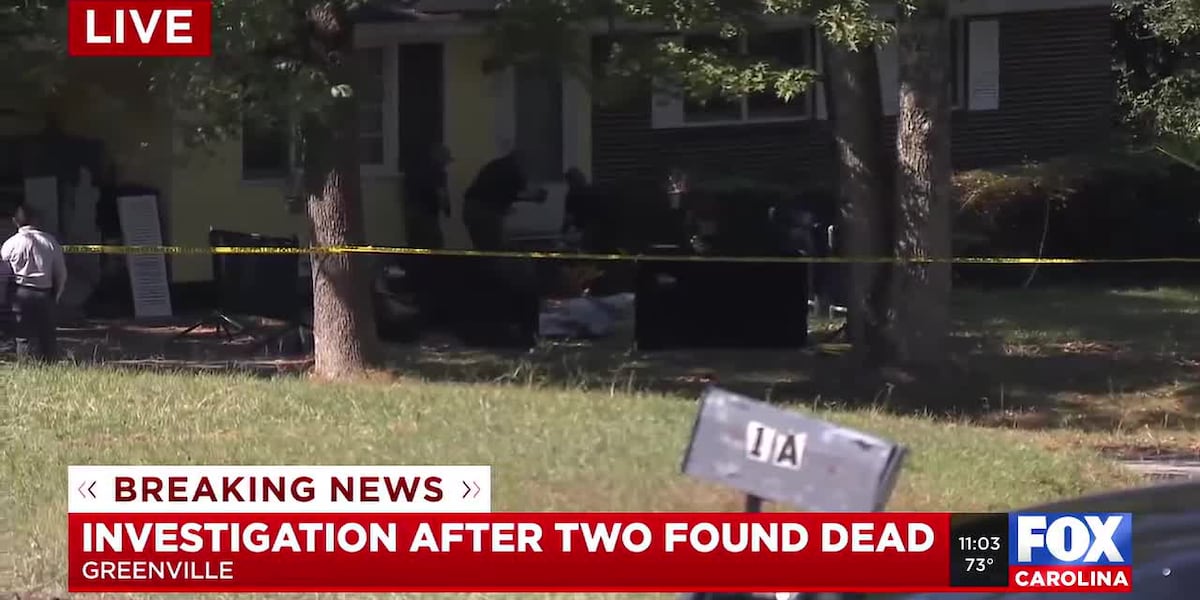 Shooting News Image