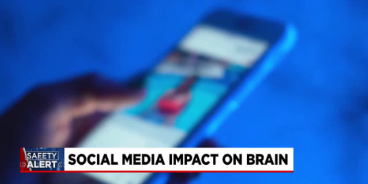 Scrolling Brain Rot Social media scrolling could cause brain rot