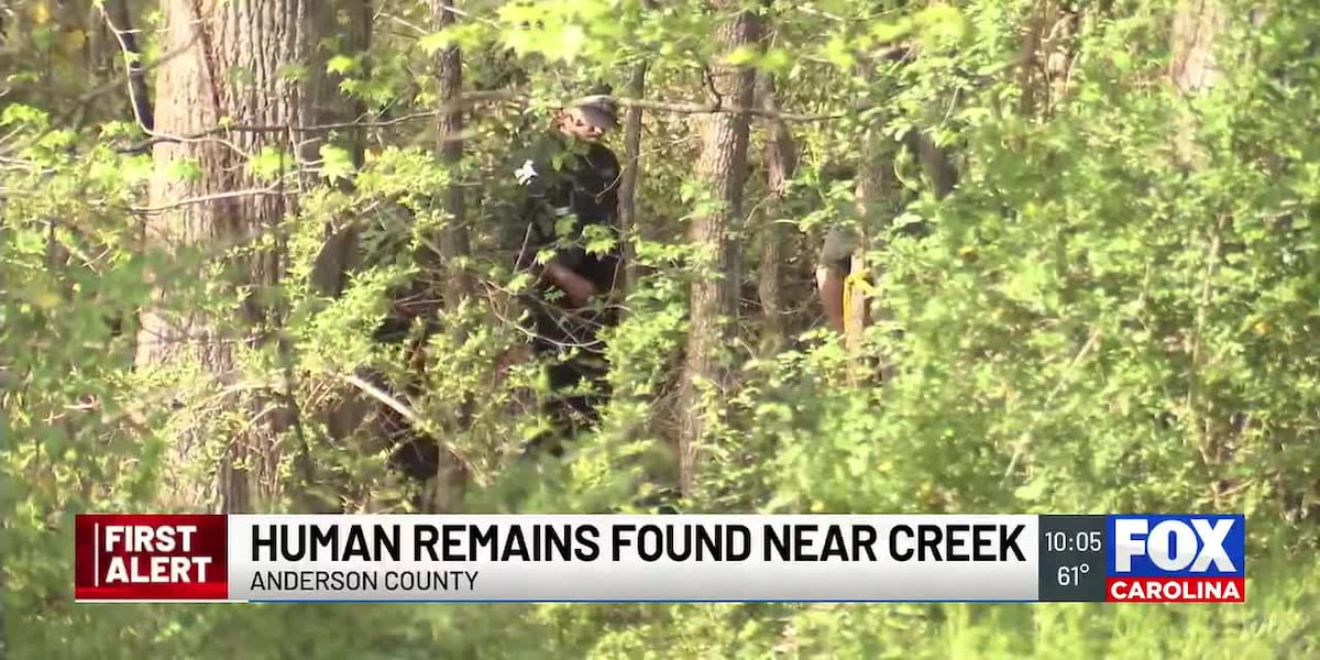 EN VIVO: Restos óseos encontrados cerca de un arroyo en el condado de Anderson, dicen los diputados