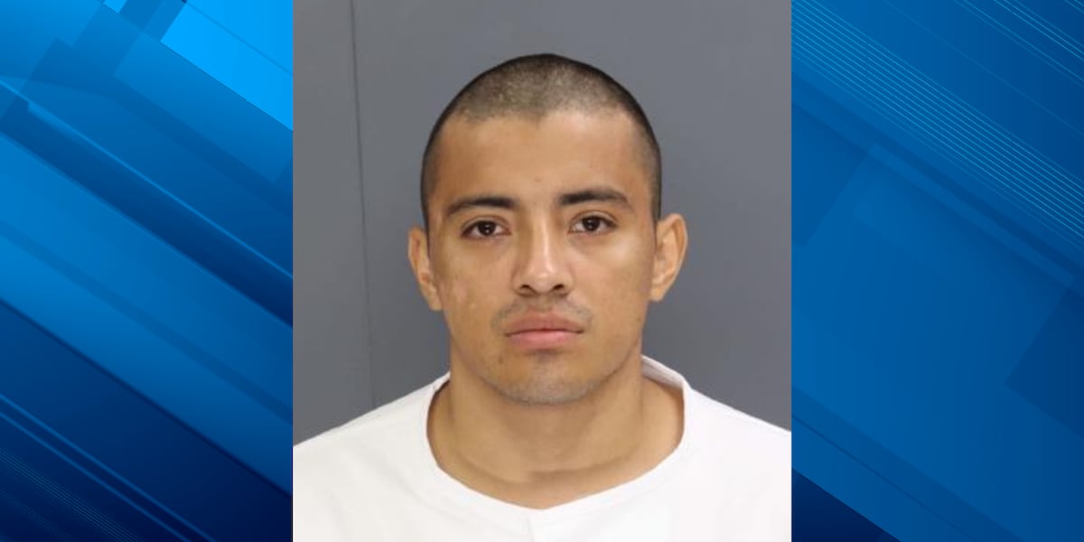 Man ID’d as undocumented immigrant pleads guilty, gets prison time for crash that killed USC student