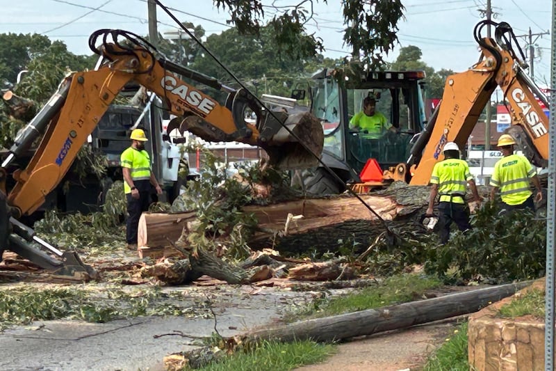 Large tree shuts down busy highway in Easley