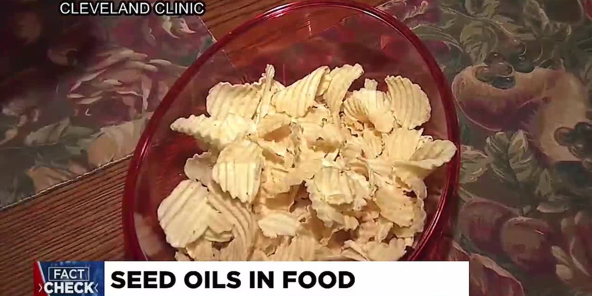 Fact Check: What to know about seed oils Fact Check: What to know about seed oils