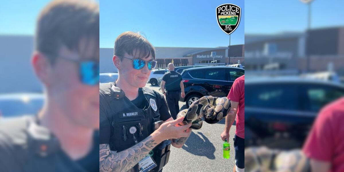 Ball Python Cop Owner of ball python comes forward after snake found at Walmart