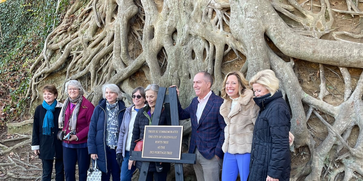 Heritage Tree award unveiled at