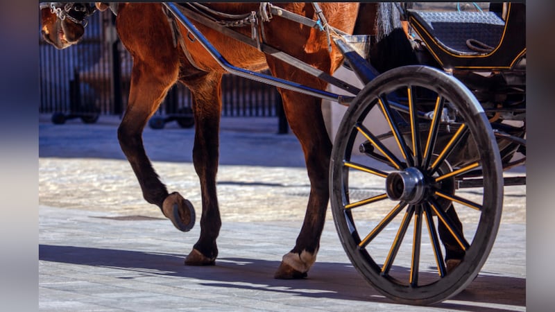 FILE -- Horse and carriage shown in this undated image.