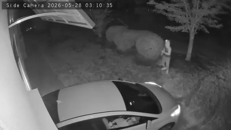 Two suspects were caught on surveillance video breaking into Spartanburg Gun & Pawn.