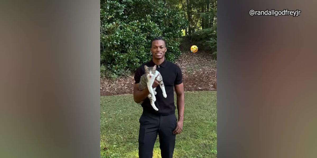 Palmetto Sports Shorts: The Cat Guy