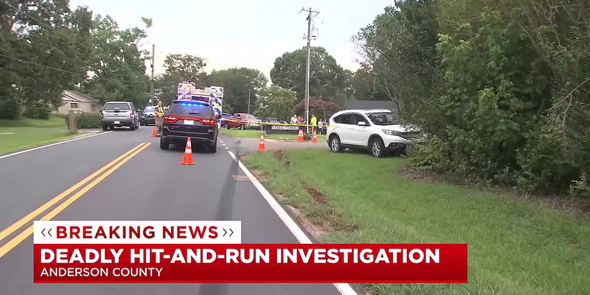 Coroner: 1 dead after hit-and-run involving 2 vehicles in Anderson Co.