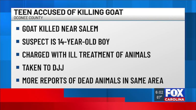 Officials there have been reports of multiple harmed animals in the area.