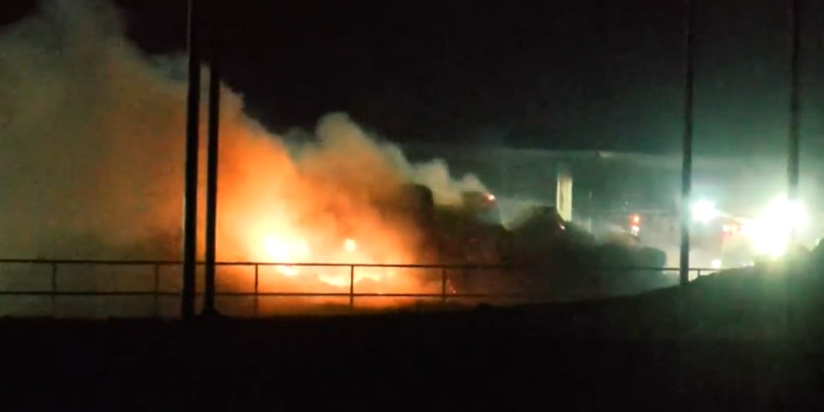 Nearly 20,000 cattle die in fire at dairy farm