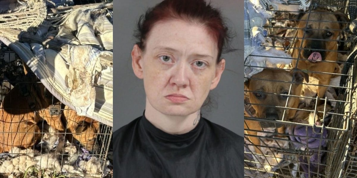 Upstate woman wanted after dogs left chained together in crates outside