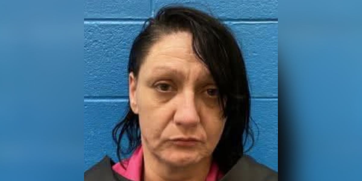 Coverage image for: Deputies: NC woman being held without bond after domestic incident ends in shooting