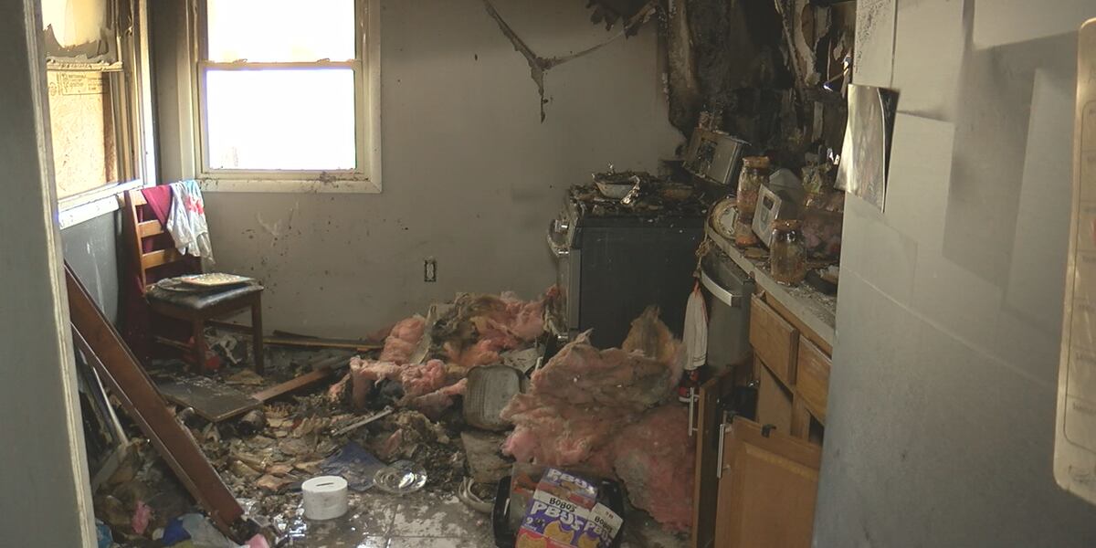 'It was definitely panic and fear...': Video shows dog setting fire to ...
