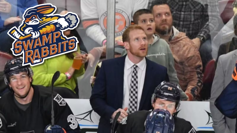 Greenville Swamp Rabbits