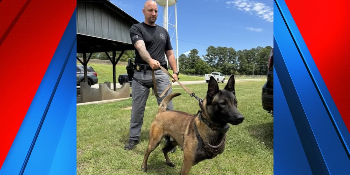 Anderson Co. Sheriff’s Office introduces new K-9 to the team