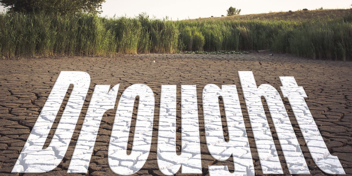 82 counties in North Carolina declared ‘natural disaster areas’ by US government