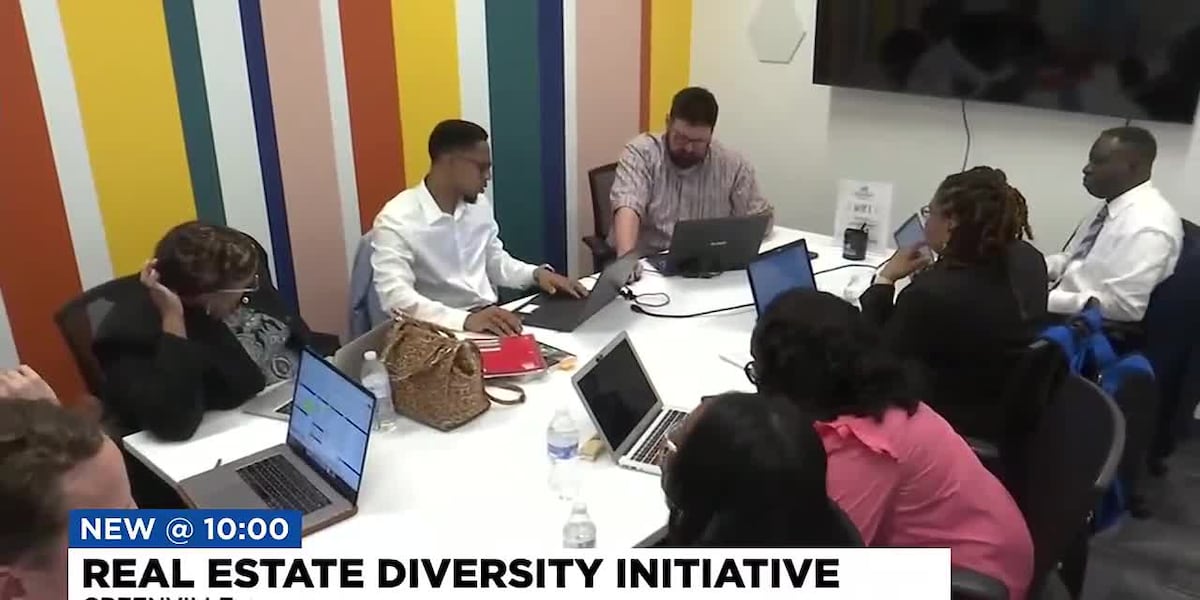 REDI program working to diversify Greenville’s real estate development ...