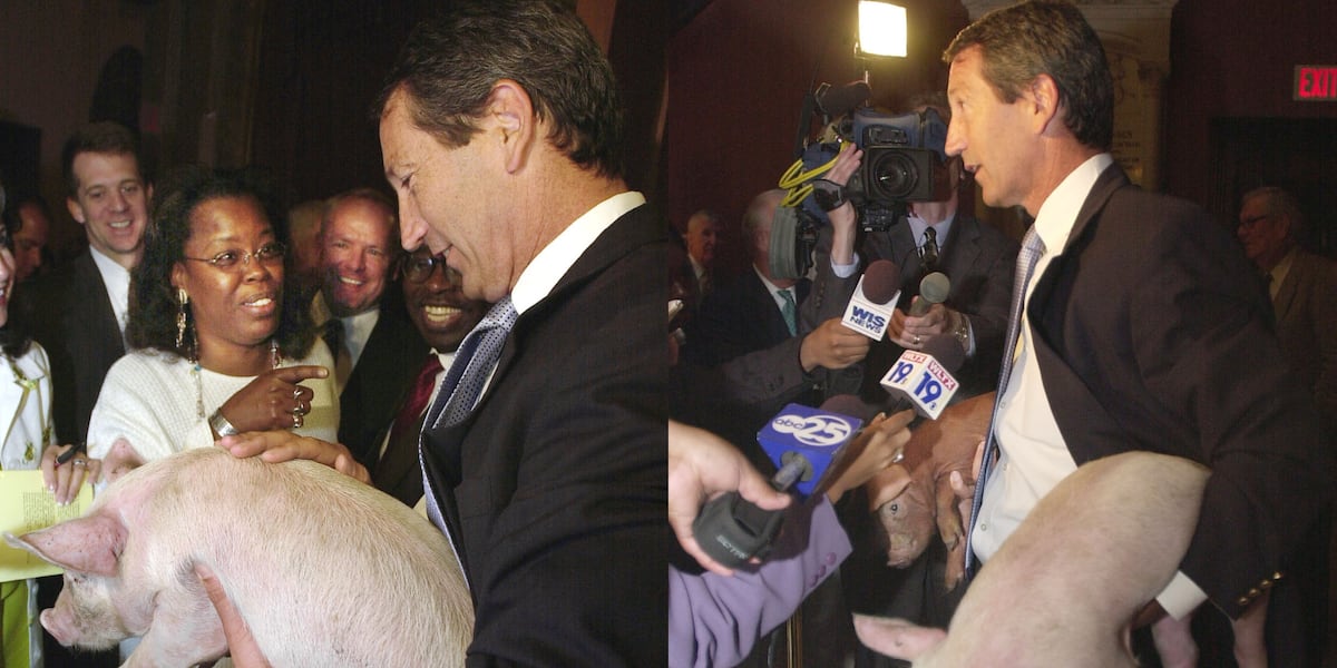 Campaign: Mark Sanford returns to SC Statehouse with live pigs to protest wasteful spending