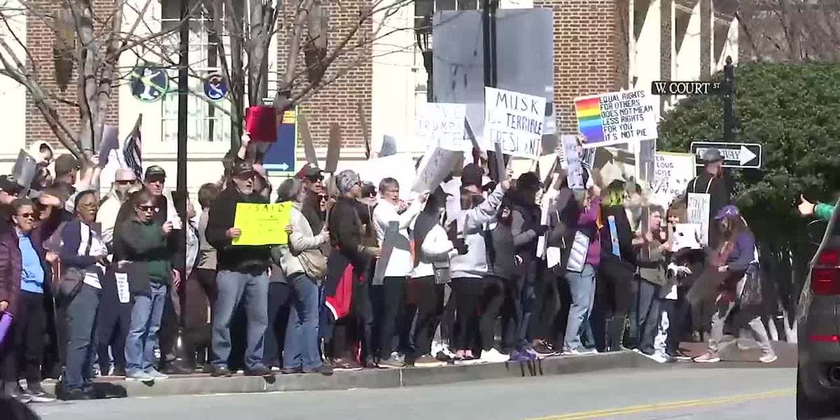 VIDEO: Protestors rally in downtown Greenville amid 50501 Movement