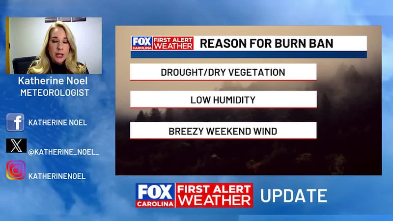 Statewide burn ban now in effect in South Carolina